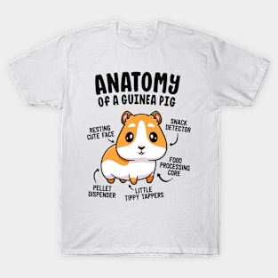 Anatomy Of A Guinea Pig Shirts For Women Kids Furry Potato T-Shirt